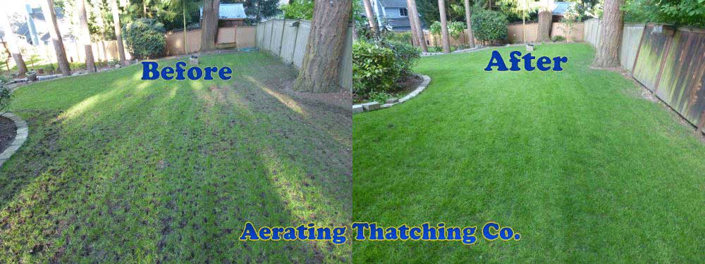 Home Aerating Thatching Co
