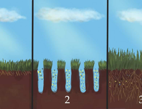 Benefits of Seattle Lawn Aeration