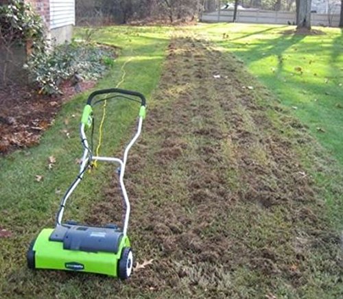 Greenworks 14 Inch 10 Amp Corded Dethatcher 27022