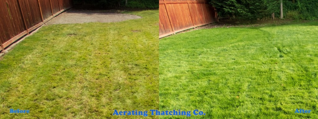 Mill Creek 2018 Lawn Tune-up before and after