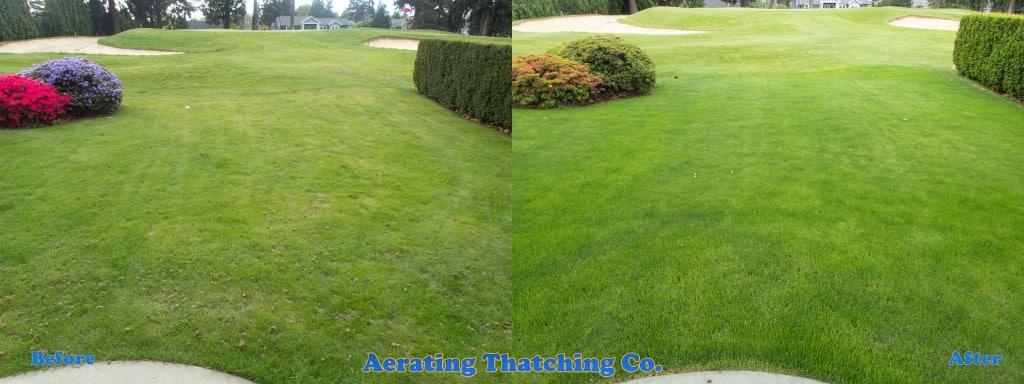 Sand Point Lawn Tune Up Before And After
