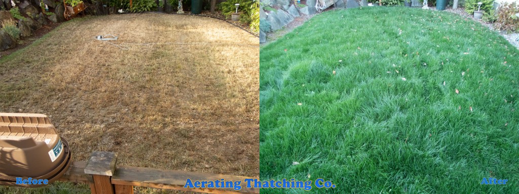 Seattle Lawn Full Meal Deal Before and After view 2
