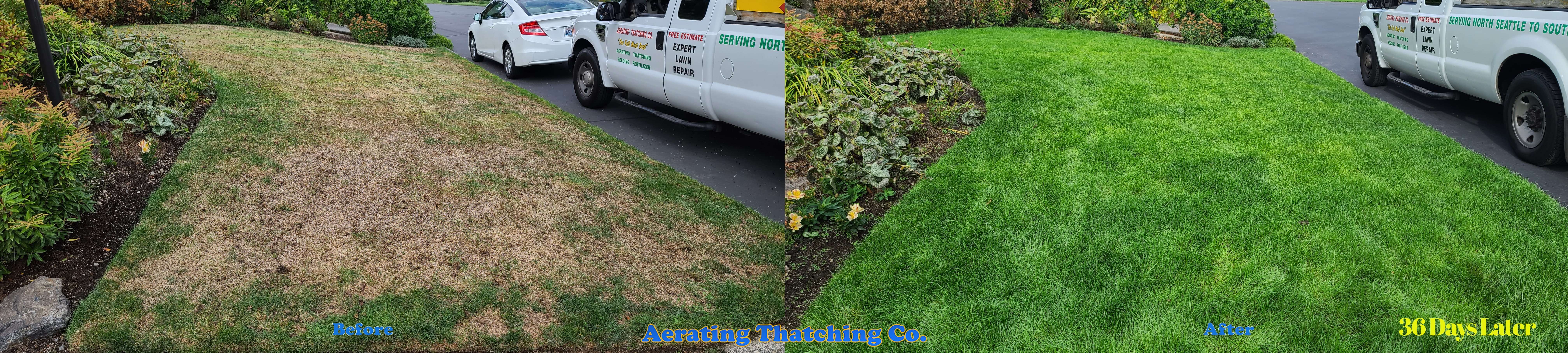 North Seattle Lawn Renovation Tune Up Aerating Seeding & Fertilizing Before & After Fall 2023 ~ Social media & website images uploaded and managed by Dulyfixed.com