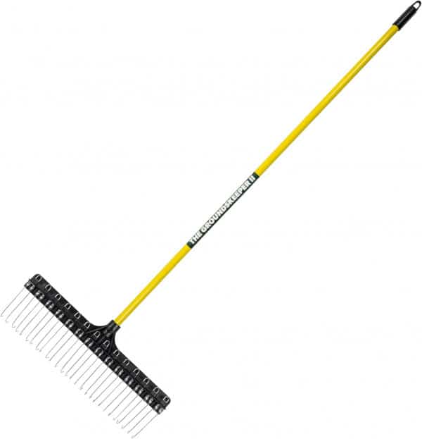 Dethatching Rake