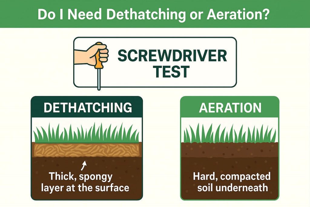 Do I Need Dethatching or Lawn Aeration article image