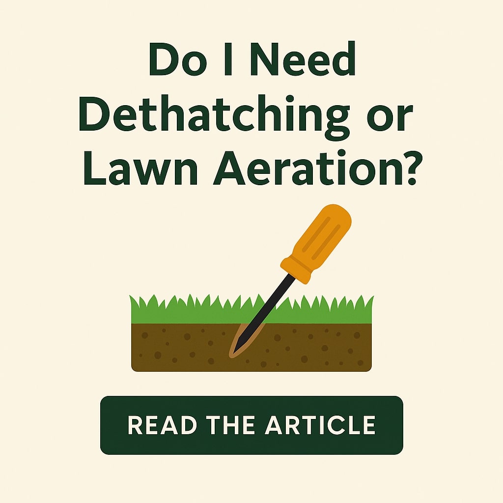Do I Need Dethatching or Lawn Aeration
