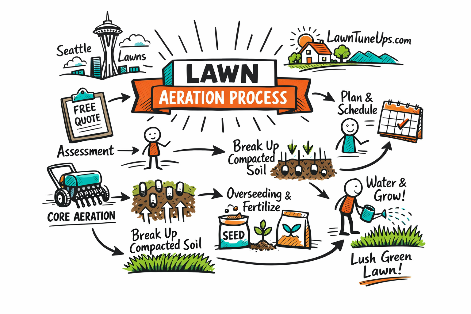 Professional lawn aeration process in Seattle: assessment, core aeration, break up compacted soil, overseeding and fertilizer, water and grow