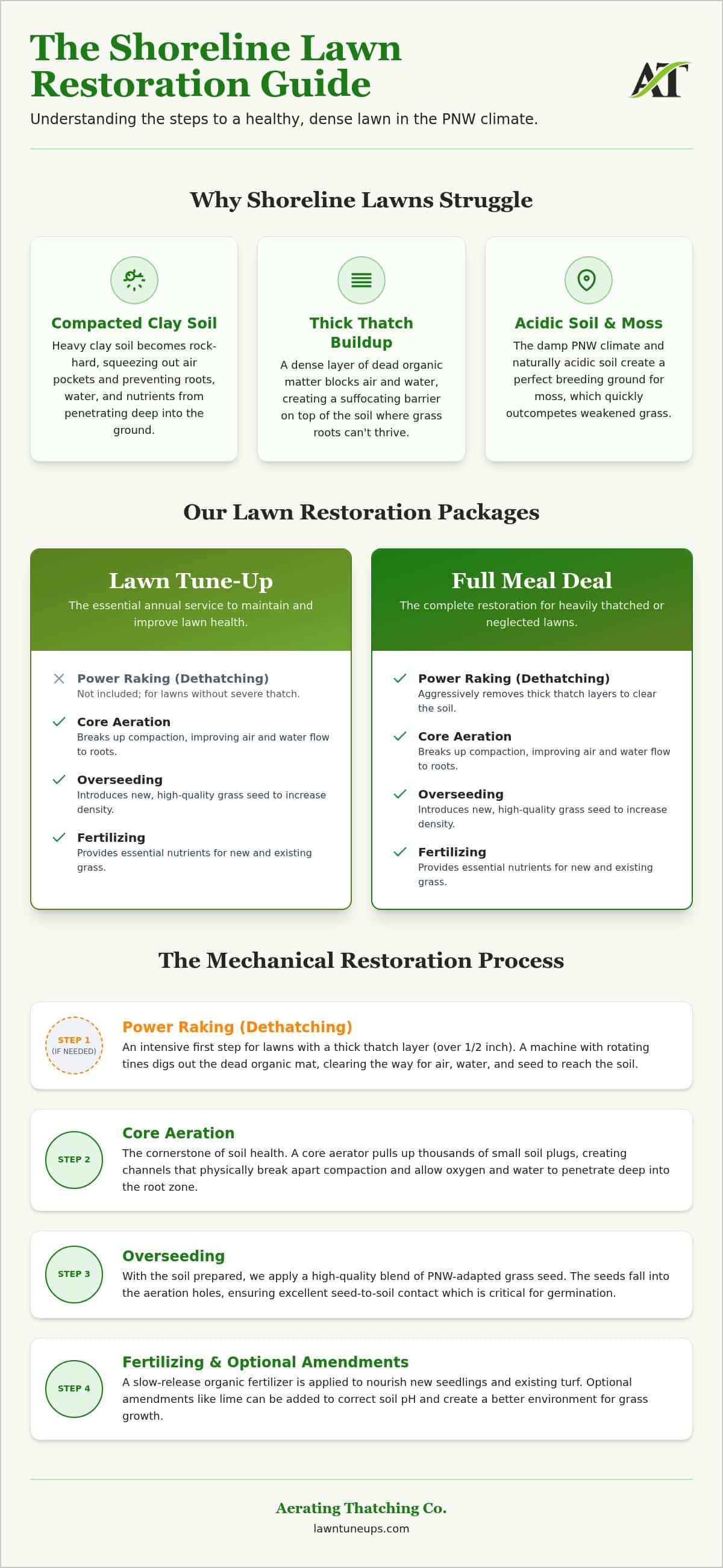 Lawn Tune Up Shoreline: A Case Study in Professional Turf Restoration