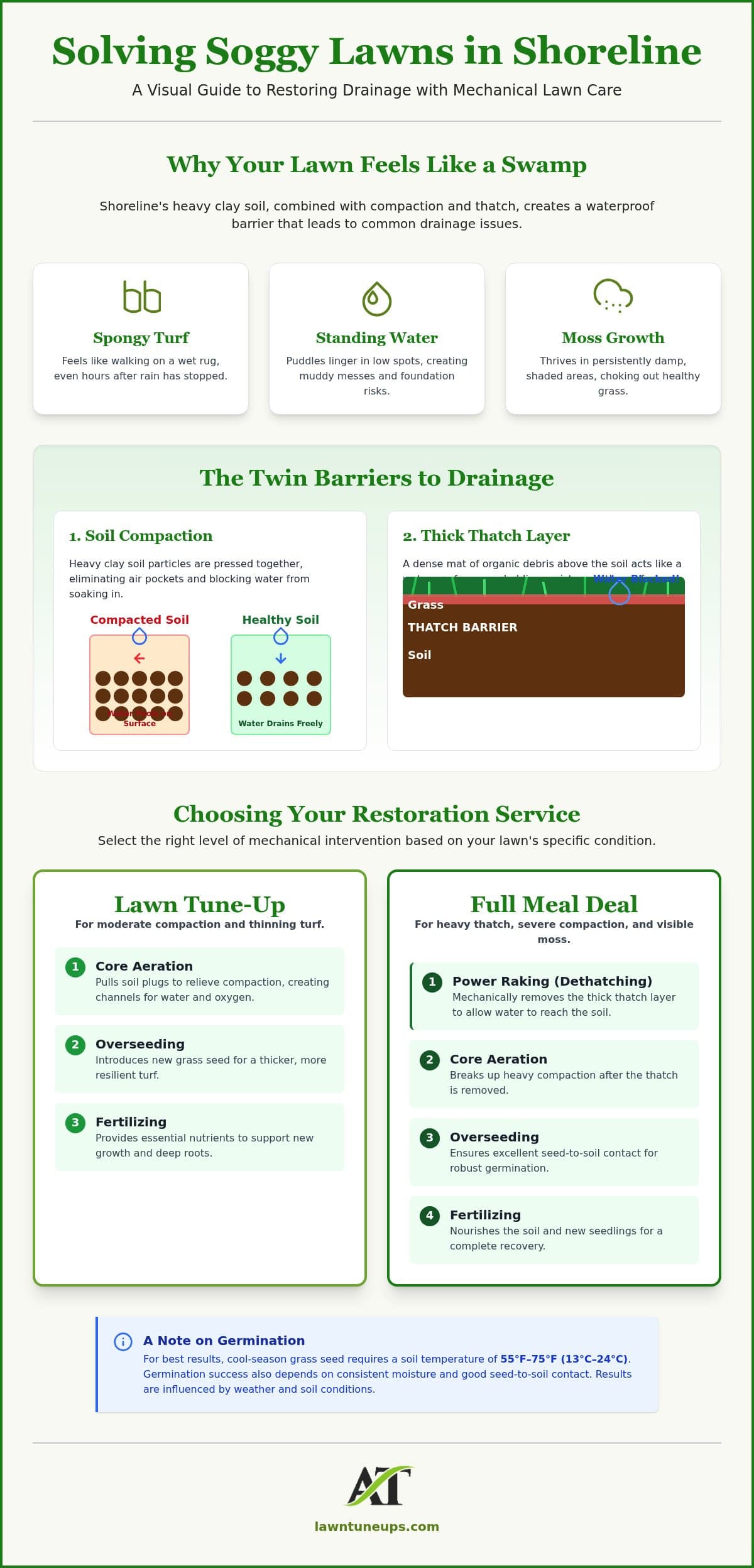 Effective Lawn Drainage Solutions in Shoreline: A Homeowner’s Guide