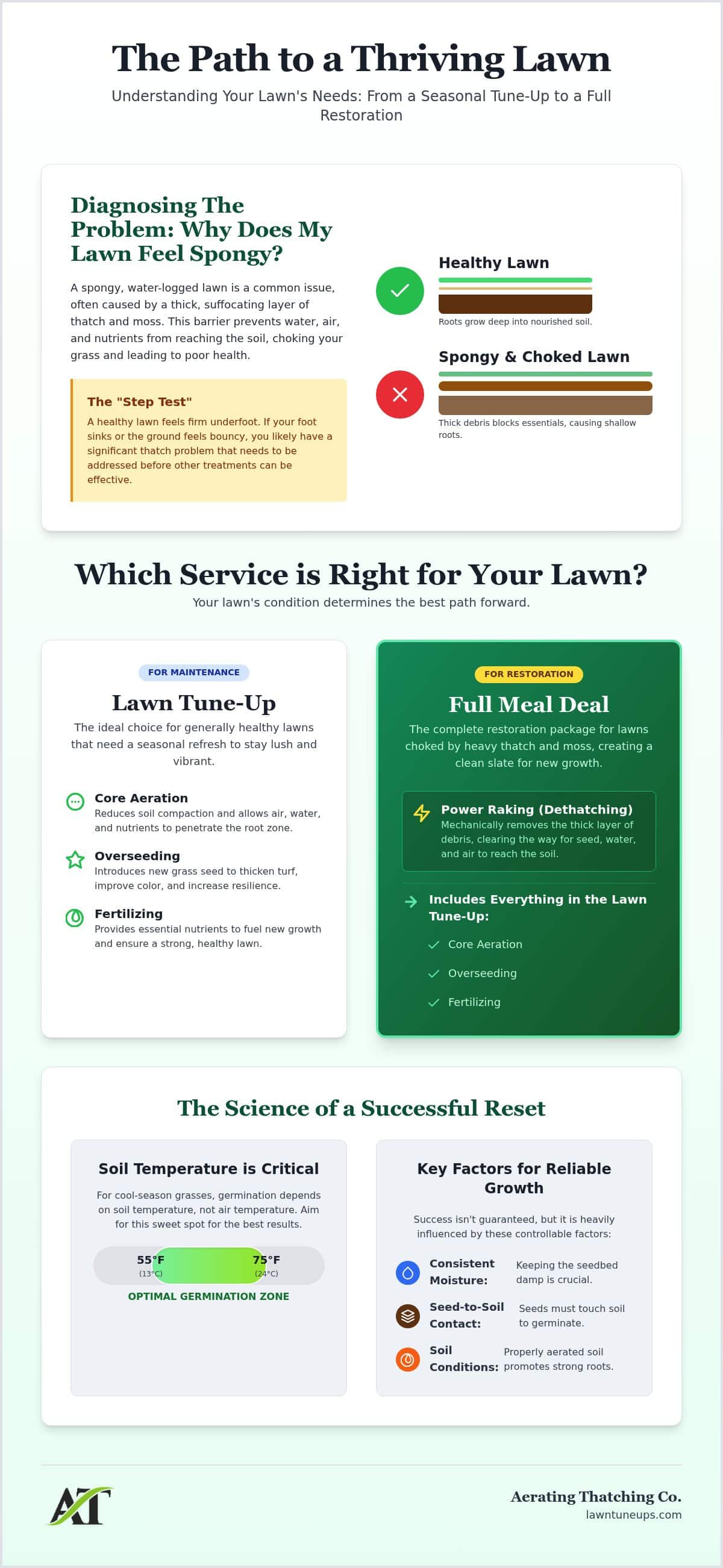 Power Raking vs. Dethatching in Lynnwood: Which Does Your Lawn Need?