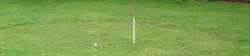 Lawn Aerating Example