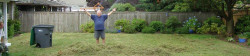 Happy Lawn Client