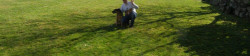 Happy Lawn Client