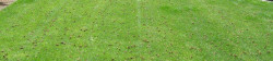 Lawn Aerating Example