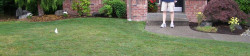 Happy Lawn Client