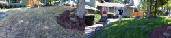 Lawn Tune Up Before and After