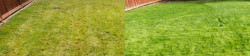 Mill Creek 2018 Lawn Tune-up before and after Mill Creek 2018 Lawn Tune-up before and after