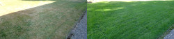 Mill Creek Full Meal Deal With Organic Fertilizer View 2 Mill Creek Full Meal Deal With Organic Fertilizer View 2