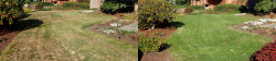 Mill Creek Full Meal Deal With Organic Fertilizer View 1 Mill Creek Full Meal Deal With Organic Fertilizer View 1