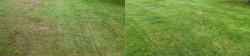 Mill Creek Lawn Tune Up With Amendment 2 Mill Creek Lawn Tune Up With Amendment 2