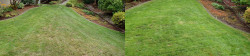 Mill Creek Lawn Tune Up With Amendment 3 Mill Creek Lawn Tune Up With Amendment 3