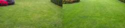 Sand Point Lawn Tune Up Before And After Sand Point Lawn Tune Up Before And After