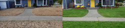 View Ridge Lawn Tune Up with Lime view 1 View Ridge Lawn Tune Up with Lime view 1