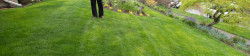 Happy Lawn Client