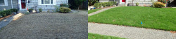 North Seattle Laurelhurst Full Meal Deal with Lime, Soil Amendments and Wetting Agent Before and After Fall 2019 North Seattle Laurelhurst Full Meal Deal with Lime, Soil Amendments and Wetting Agent Before and After Fall 2019