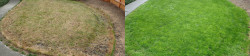 Northgate Full Meal Deal Before and After Northgate Full Meal Deal Before and After