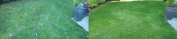 Sand Point Country Club Lawn Tune Up Before and After Sand Point Country Club Lawn Tune Up Before and After
