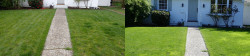 Wedgwood Lawn Tune Up with Soil Amendment and Lime Before and After April 2019 picture 1 of 2 Wedgwood Lawn Tune Up with Soil Amendment and Lime Before and After April 2019 picture 1 of 2