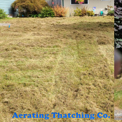 Kirkland Lawn Thatching - Before Thatching, After Thatching and After Raking Fall 2020 ~ Social media & website images uploaded and managed by Dulyfixed.com