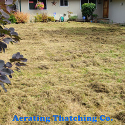 Kirkland Lawn Thatching - Before Thatching, After Thatching and After Raking Fall 2020