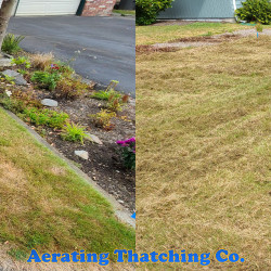 Kirkland Lawn Thatching Before and After Thatching No Raking Fall 2020 ~ Social media & website images uploaded and managed by Dulyfixed.com