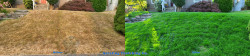 Lawn Renovation - Aerating, Seeding and Fertilizer - View Ridge Seattle WA - Fall 2020 Lawn Renovation - Aerating, Seeding and Fertilizer - View Ridge Seattle WA - Fall 2020