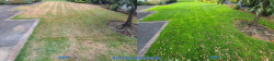 North Seattle Full Meal Deal Lawn Renovation Thatching, Seeding, Aerating, and Fertilizing Before and After Fall 2020 North Seattle Full Meal Deal Lawn Renovation Thatching, Seeding, Aerating, and Fertilizing Before and After Fall 2020