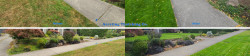North Seattle Lawn Renovation Aerating,Seeding and Fertilizing Multiple Before and After Fall 2020 North Seattle Lawn Renovation Aerating,Seeding and Fertilizing Multiple Before and After Fall 2020