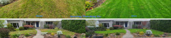 North Seattle Lawn Renovation Aerating, Seeding and Fertilizing Two Before and After Fall 2020 North Seattle Lawn Renovation Aerating, Seeding and Fertilizing Two Before and After Fall 2020