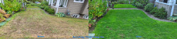 North Seattle - Lawn Renovation Full Meal Deal - Thatching, Aerating, Seeding and Fertilizing Before and After Fall 2020 North Seattle - Lawn Renovation Full Meal Deal - Thatching, Aerating, Seeding and Fertilizing Before and After Fall 2020 ~ Social media & website images uploaded and managed by Dulyfixed.com