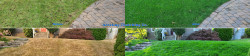 Seattle Area Lawn Tune Ups - Lawn Aeration Seeding and Fertilizing Fall 2020 Seattle Area Lawn Tune Ups - Lawn Aeration Seeding and Fertilizing Fall 2020