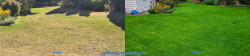Shoreline - Lawn Renovation Full Meal Deal - Thatching, Aerating, Seeding and Fertilizing Before and After Fall 2020 Shoreline - Lawn Renovation Full Meal Deal - Thatching, Aerating, Seeding and Fertilizing Before and After Fall 2020 ~ Shoreline - Lawn Renovation Full Meal Deal - Thatching, Aerating, Seeding and Fertilizing Before and After Fall 2020