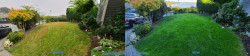Lake Forest Park Organic Lawn Renovation Tune Up - Aerating, Seeding and Fertilizing with soil amendment Before and After Fall 2020 Lake Forest Park Organic Lawn Renovation Tune Up - Aerating, Seeding and Fertilizing with soil amendment Before and After Fall 2020 - Social media & website images uploaded and managed by Dulyfixed.com