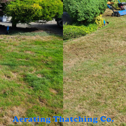 Lynnwood Lawn Thatching Before And After Fall 2020 - Social media & website images uploaded and managed by Dulyfixed.com