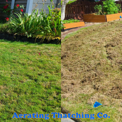 Lynnwood Lawn Thatching Before And After Fall 2020 - Social media & website images uploaded and managed by Dulyfixed.com