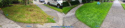 North Seattle Lawn Renovation Full Meal Deal - Thatching, Aerating, Seeding, and Fertilizing with Soil Amendments Before and After Fall 2020 North Seattle Lawn Renovation Full Meal Deal - Thatching, Aerating, Seeding, and Fertilizing with Soil Amendments Before and After Fall 2020 - Social media & website images uploaded and managed by Dulyfixed.com