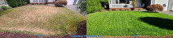 Shoreline - Lawn Renovation Tuneup - Aeration, Seeding and Fertilizing Before and After Fall 2020 Shoreline - Lawn Renovation Tuneup - Aeration, Seeding and Fertilizing Before and After Fall 2020 -Social media & website images uploaded and managed by Dulyfixed.com