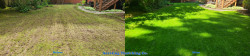 Mill Creek Lawn Renovation - Thatching, Aerating, Seeding, Fertilizer & Soil Amendment - Full Meal Deal - Mill Creek - Spring 2021 Mill Creek Lawn Renovation - Thatching, Aerating, Seeding, Fertilizer & Soil Amendment - Full Meal Deal - Mill Creek - Spring 2021 ~ Social media & website images uploaded and managed by Dulyfixed.com