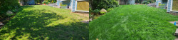 Magnolia Lawn Renovation Tune Up - Aerating, Seeding, Fertilizing & Amendment Before and After Summer 2021 Magnolia Lawn Renovation Tune Up - Aerating, Seeding, Fertilizing & Amendment Before and After Summer 2021 ~ Social media & website images uploaded and managed by Dulyfixed.com