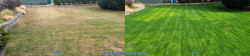 Shoreline Lawn Renovation Tune Up - Aerating Seeding & Fertilizing Soil Amendments & Wetting Agents & Lime Before and After Fall 2021 Shoreline Lawn Renovation Tune Up - Aerating Seeding & Fertilizing Soil Amendments & Wetting Agents & Lime Before and After Fall 2021 Sand Point CC Lawn Renovation Tune Up - Aerating, Seeding, and Fertilizing Before and After Spring 2021 ~ Social media & website images uploaded and managed by Dulyfixed.com